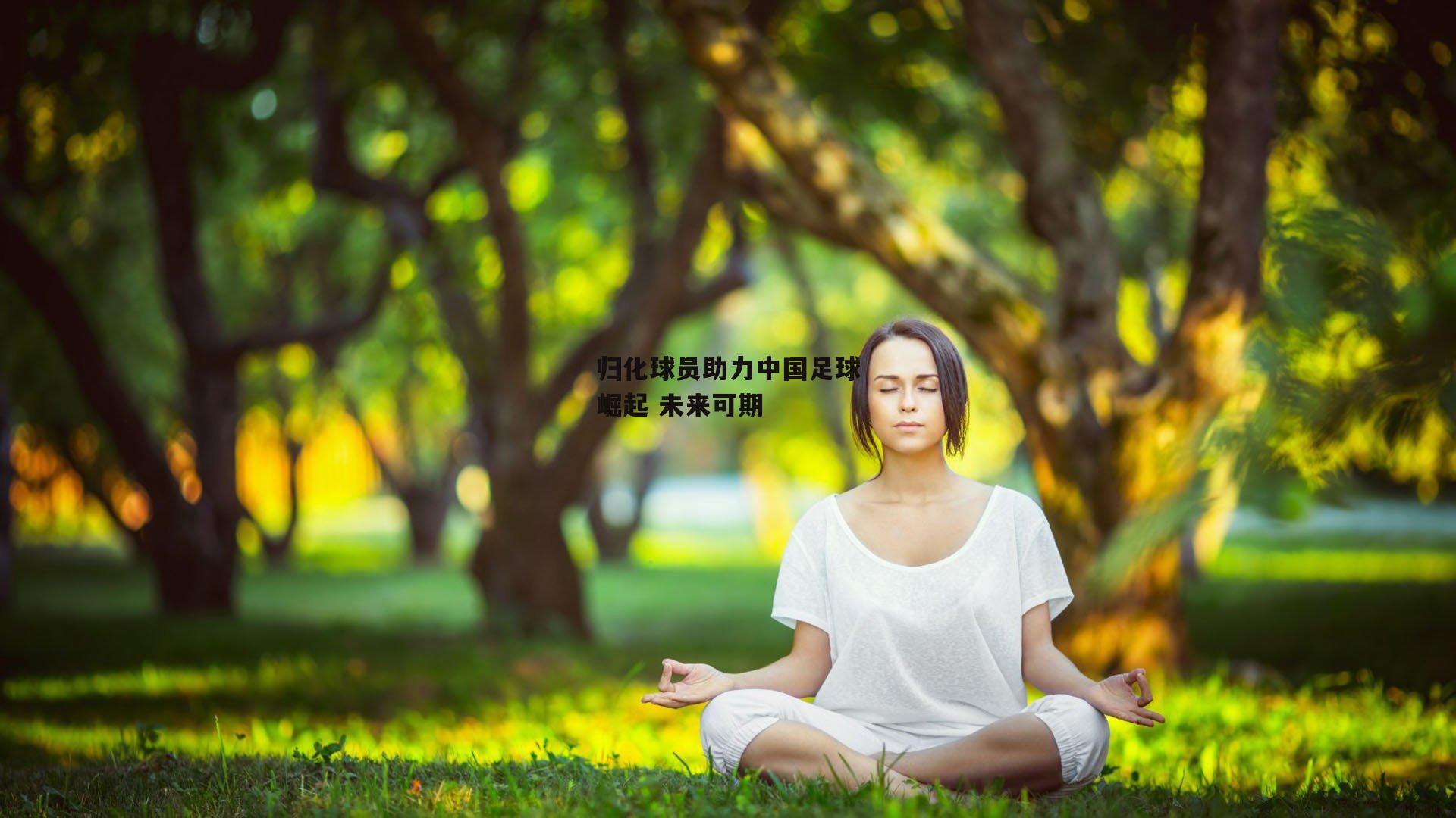 归化球员助力中国足球崛起 未来可期